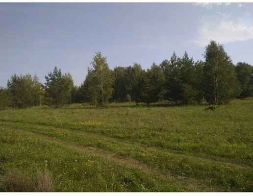 Фото объявления: Земельный участок Брусникино  в Кетово