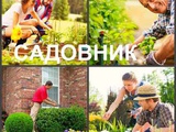 Услуги садовника в Воронеже и Воронежской области